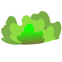 Lush green grass with gradation