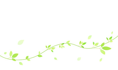 葉っぱの飾り罫線