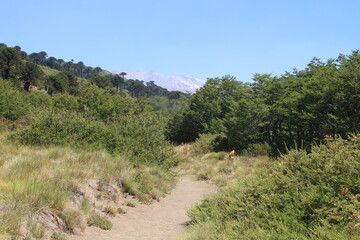 Beautiful landscape of patagonia argentina