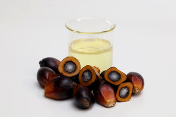 palm kernels and palm cooking oil in glass cup isolated on white background. Indonesian commodity concept.