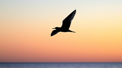 Bird in flight against a colorful sunset sky over the ocean.