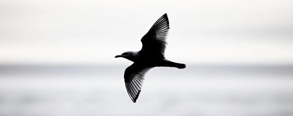 Bird in flight against a soft blurred background.