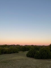 sunset in a field