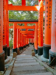 A serene pathway lined with vibrant red torii gates offering a breathtaking view, nestled within a...