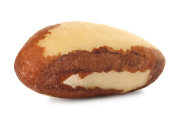 One tasty Brazil nut isolated on white