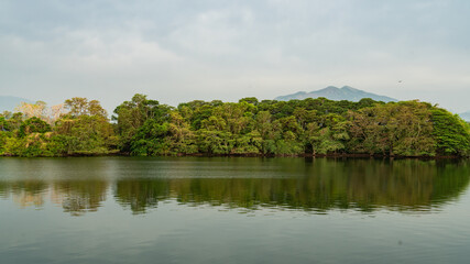 panoramic landscape view of clouds and forest reflecting on the water