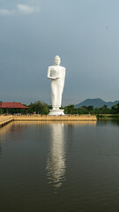 Standing Buddha Statue Sri Lanka