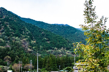 岐阜県・関市のモネの池を訪ねて