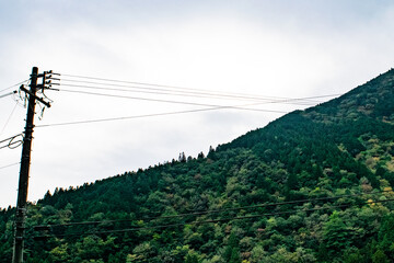 岐阜県・関市のモネの池を訪ねて