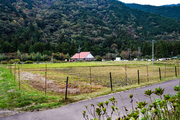 岐阜県・関市のモネの池を訪ねて