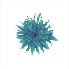 abstract flower illustration