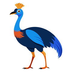 Download Cassowary Bird Vector Art Illustration . This Design Concept Isolated Premium Vector. 