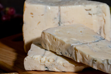 A big block of cheese that everyone likes to eat.