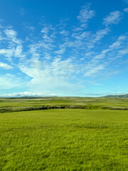 Thingvellir, Iceland - August 12, 2024: Landscape scenery in the region around Thingvellir National Park in Iceland
