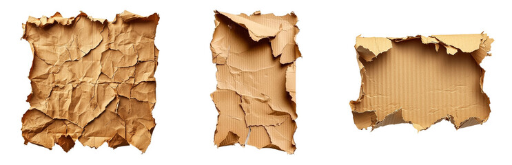 PNG Crumpled and Torn Cardboard Textures for Design Projects. Isolated on transparent background
