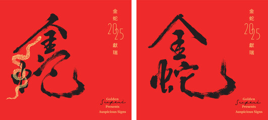 Hand Write Chinese calligraphy Art. Translation: 2025 Happy Snake New Year. Vector illustration. No.C