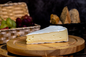 A big block of cheese that everyone likes to eat.