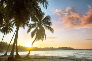 Fototapeta premium Tropical beach