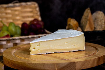 A big block of cheese that everyone likes to eat.