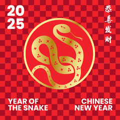 Graphic collection of gold scandinavian snake chinese new year imlek with seamless pattern