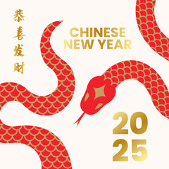 Graphic collection of gold scandinavian snake chinese new year imlek with seamless pattern
