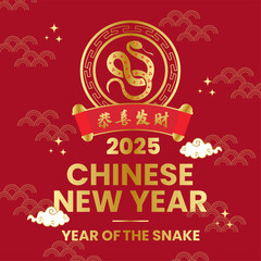 Graphic collection of gold scandinavian snake chinese new year imlek with seamless pattern