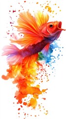 Obraz premium Colorful fish with vibrant fins, white isolate background.