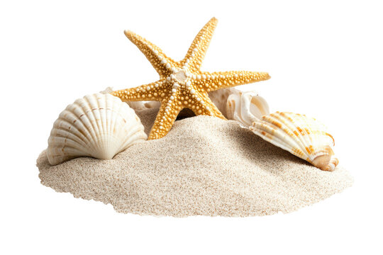 Beach sand with the shell - Powered by Adobe