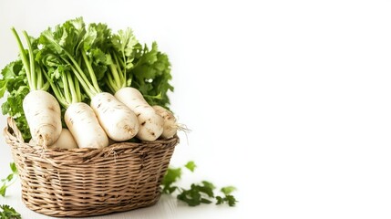 White background daikon in basket, isolated, fresh produce