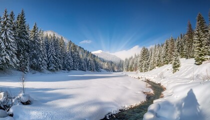 Obraz premium Serene Valley with Snow-Covered Pines