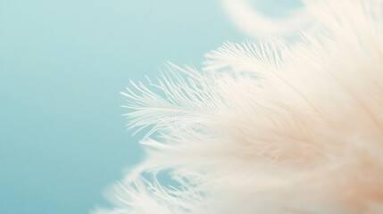 Obraz premium A striking close-up of a feather, showcasing each delicate strand and the fine texture of its barbs. The soft background adds depth while allowing the featherâ€™s intricate details to shine, from the