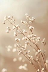 Fototapeta premium Textured cardstock close-up, natural fibers visible