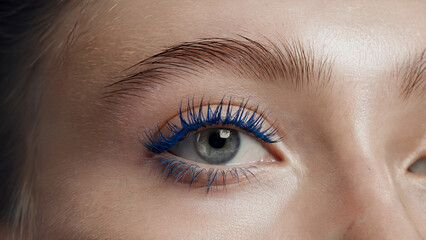 Fototapeta premium Stylish Minimalism, Blue Mascara: A close-up shot of an eye adorned with vibrant blue mascara on naturally long lashes