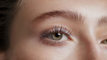 Obraz premium stylish minimalism, Linen mascara: a close-up shot of an eye adorned with vibrant Linen mascara on naturally long lashes