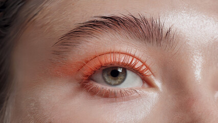 Obraz premium stylish minimalism, Salmon Pink mascara: a close-up shot of an eye adorned with vibrant Salmon Pink mascara on naturally long lashes