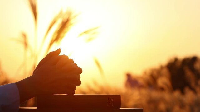 Christian praying with both hands together on the holy bible, sunset scenery of autumn barley field with reeds swaying in the wind and setting sun, Thanksgiving background
