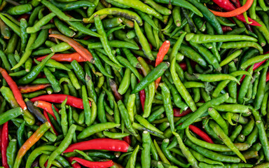 Green chilies with a little red chili mixed in. background green chili