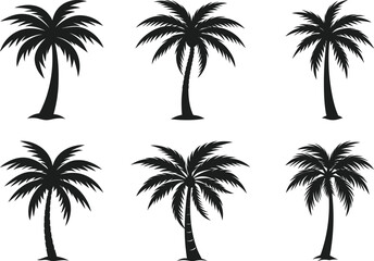 Set of Palm Tree Silhouette Vectors – Tropical Black and White Collection for Beach, Summer, and Travel Designs