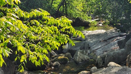 hiking. Korean mountains. Korean mountain scenery. road paved with stones. beautification of mountains in Korea. path to the top of the mountain. healthy lifestyle