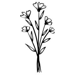 flower sketch illustration