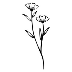 flower sketch illustration