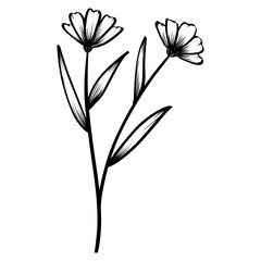 flower sketch illustration
