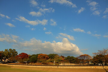 카메라 모델 : Canon EOS R10 
사진크기: 6000x4000 
F-스톱 : F/5.6
노출시간 : 1/500초 
ISO-100
초점 : 18mm 
