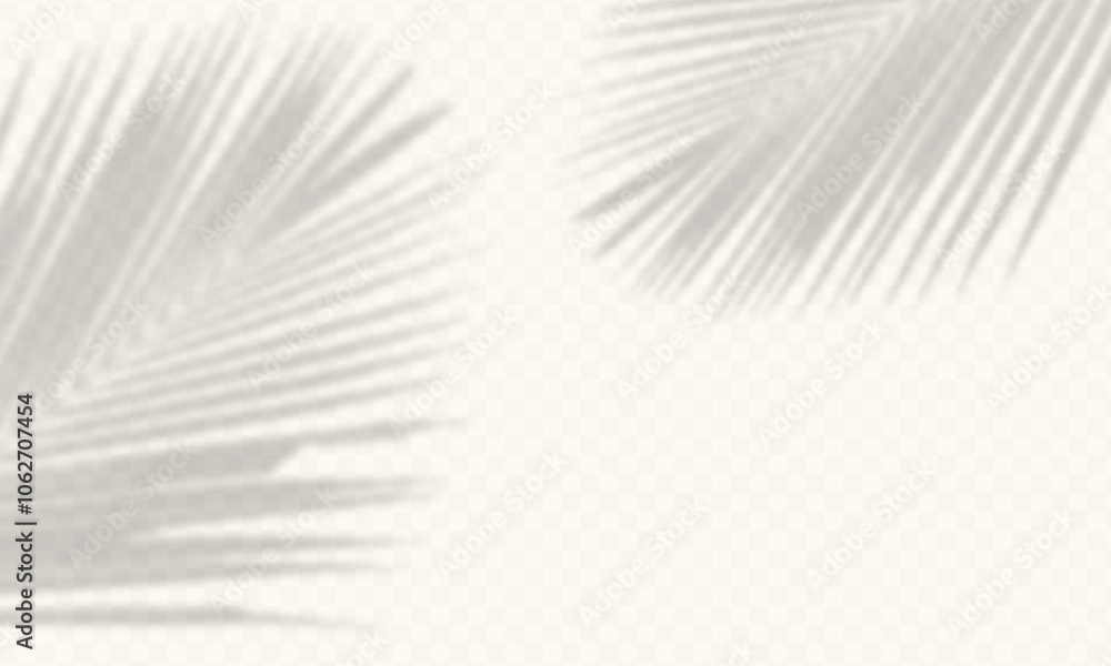 Poster abstract palm leaves shadow overlay with empty space for you design isolated on transparent backgrou