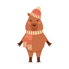 Capybara in a warm blue patterned scarf and hat. Winter Christmas animal character, vector illustration isolated on transparent background for printing, scrapbooking, social media and animation.