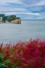 Red and yellow wild flowers blowing in the wind leaving motion trails. the Gulf of St Lawence is in...