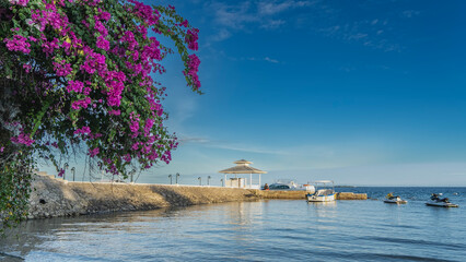 Motor boats are moored at the pier. A man is sitting next to the awning. A calm blue ocean. Azure sky. In the foreground is a blooming pink bougainvillea. Philippines. Cebu.