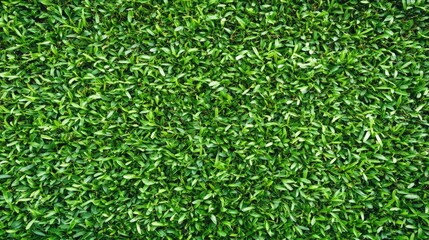 Lush Green Leaves Texture Background for Design Projects