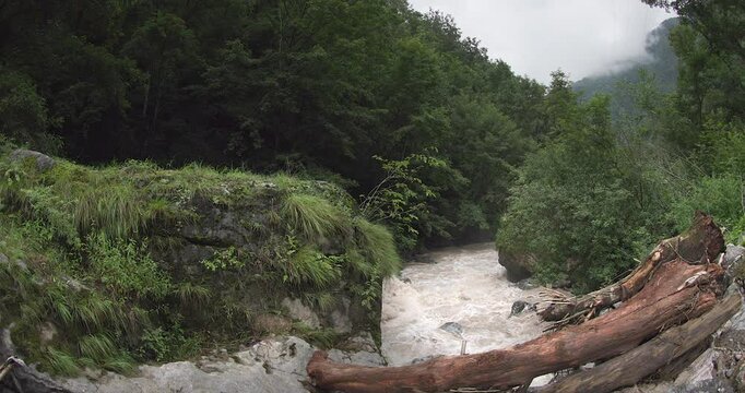 A rushing river in the mountains, surrounded by a coniferous forest