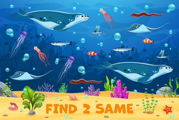 Find two same cartoon sea animals on kids game worksheet, cartoon vector. Find 2 same underwater characters of clownfish and eel with seal and squid, jellyfish and stingray in undersea landscape